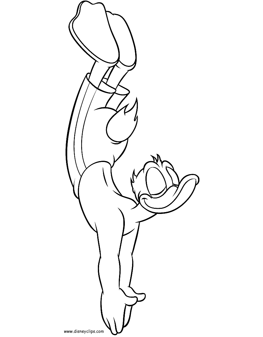 Berner Lissy Dierenportretten Door Dyenne Potloodtekeningen Dieren Tekenen Hond Tekeningen