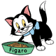 Figaro eating food