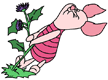 Piglet pulling a weed