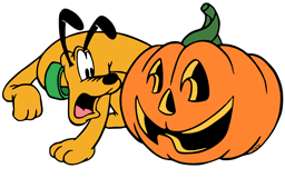 Pluto is scared of a carved pumpkin