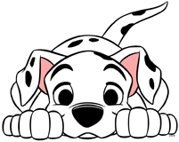 Adorable dalmatian puppy with his face between his paws