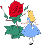 Alice standing in front of the Red Rose
