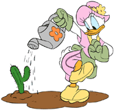 Daisy Duck watering a cactus in her gardening clothes