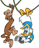 Donald Duck taking a picture of a monkey hanging upside down