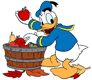 Donald Duck picking an apple