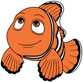Marlin looking up smiling