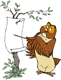 Owl teaching