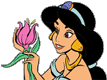 Jasmine, flower
