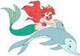 Ariel, dolphin