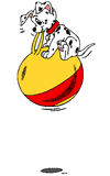 Puppy on bouncy ball