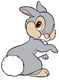 Shy Thumper