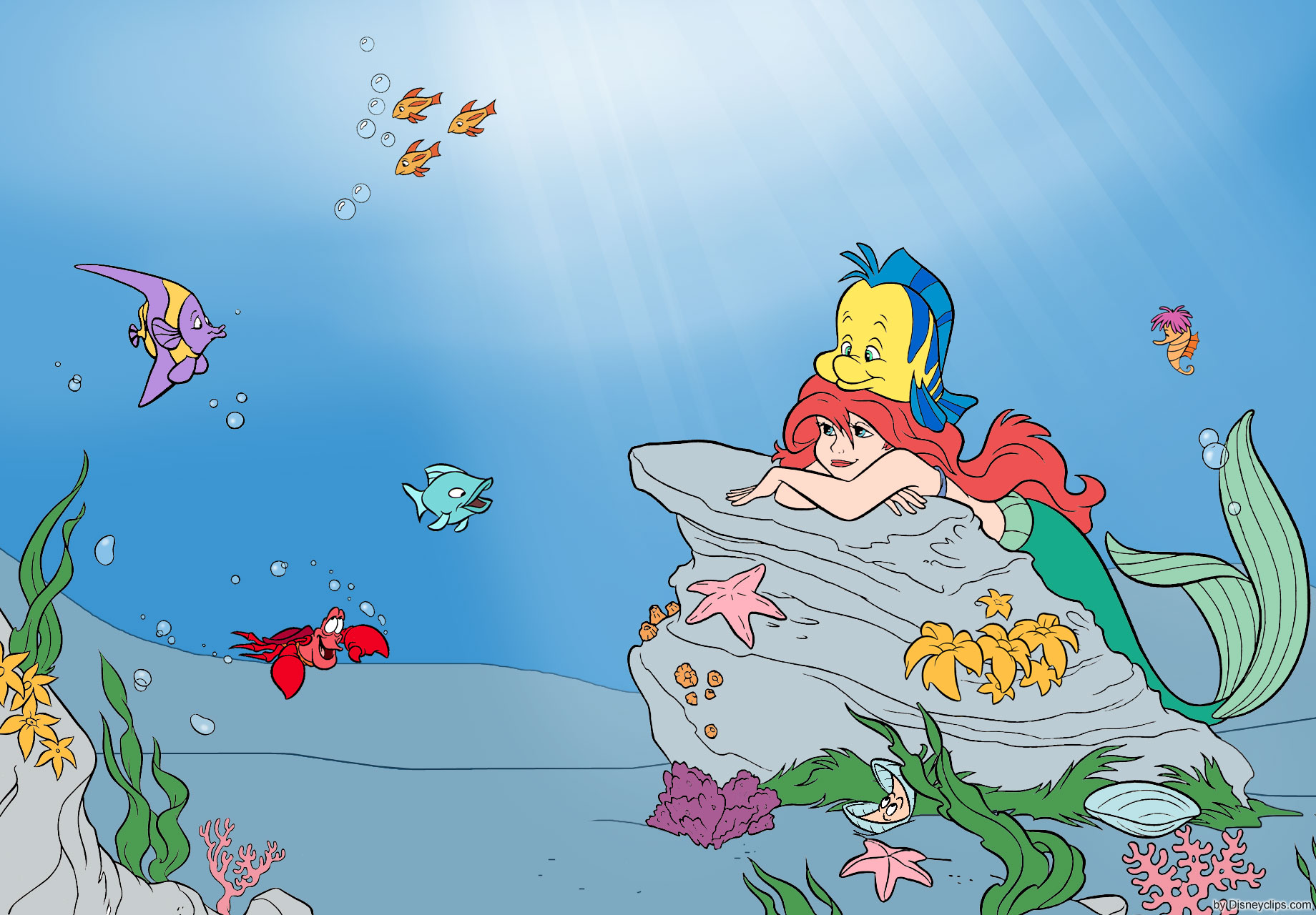 The Little Mermaid Wallpaper | Disneyclips.com