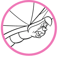 Alice coloring page