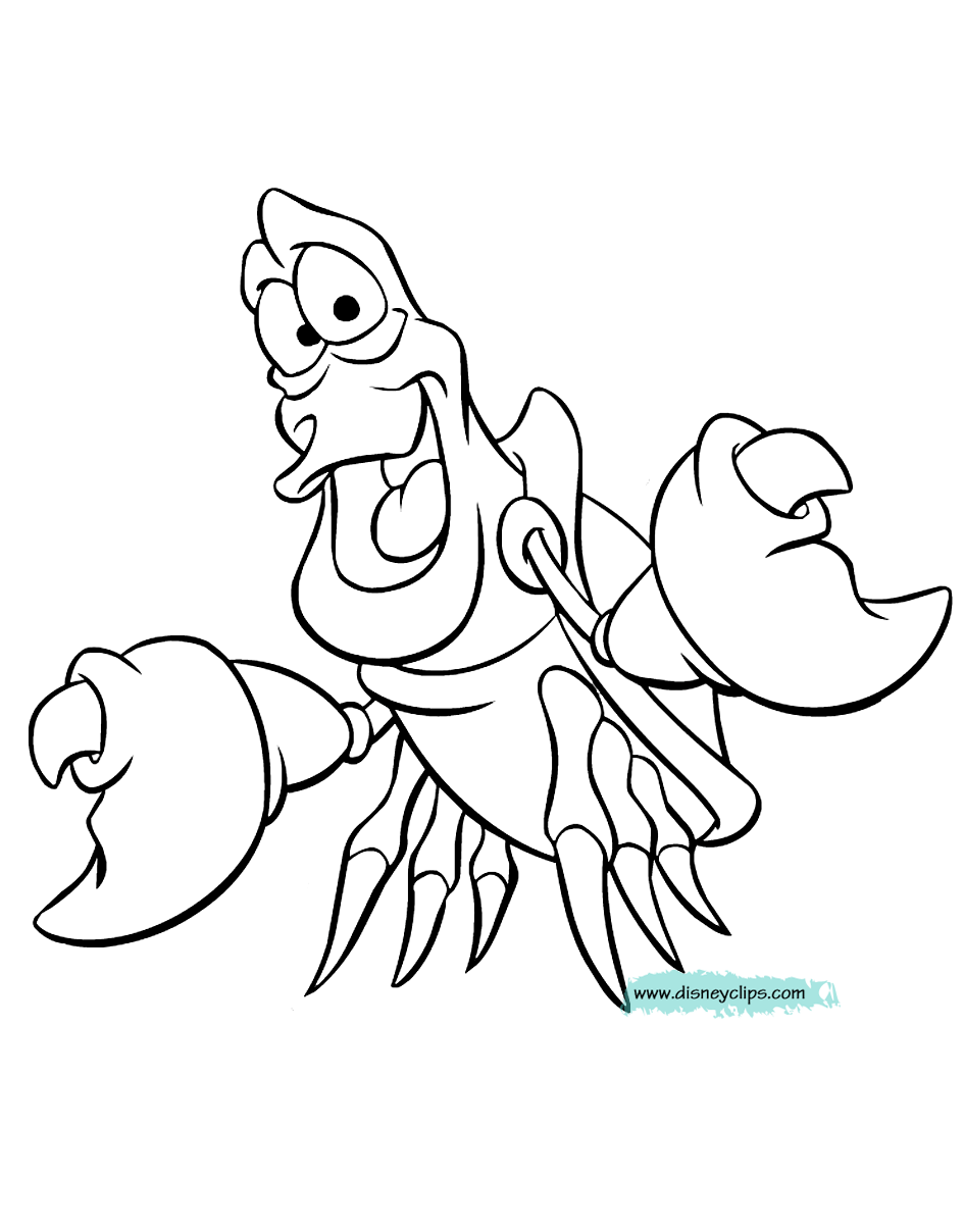 sebastian coloring mermaid disney ariel flounder printable scuttle clipart princess clip ursula face disneyclips flotsam drawings adult cheerful library pdf