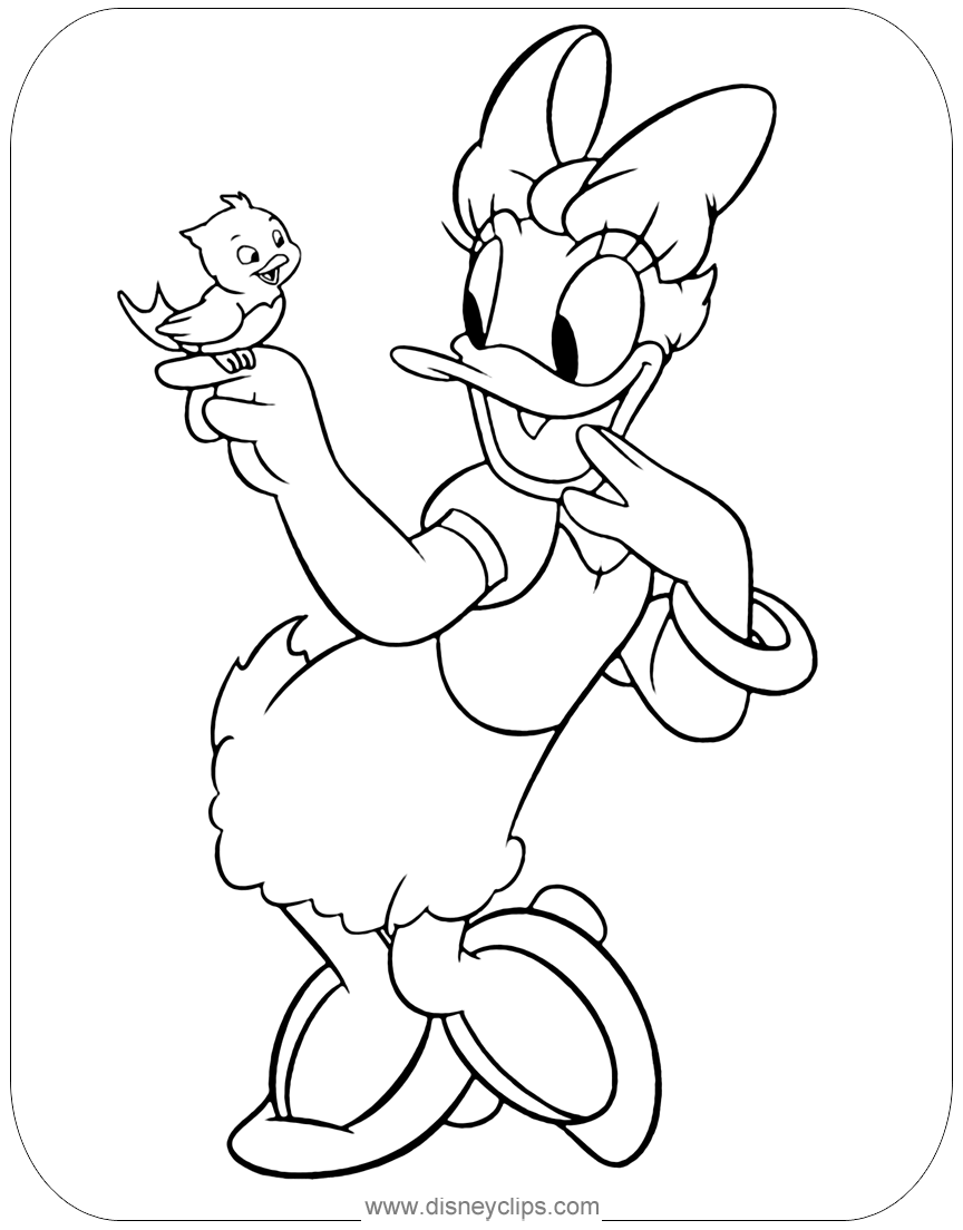 Daisy Duck Coloring Pages  Disneyclips.com