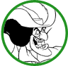 Captain Hook coloring page