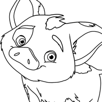 Pua coloring page