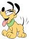 Baby Pluto wagging tail