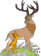 Bambi, Prince of the Forest