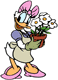 Daisy Duck, flowers