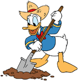 Farmer Donald Duck digging a hole