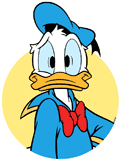 Donald Duck looking frazzled