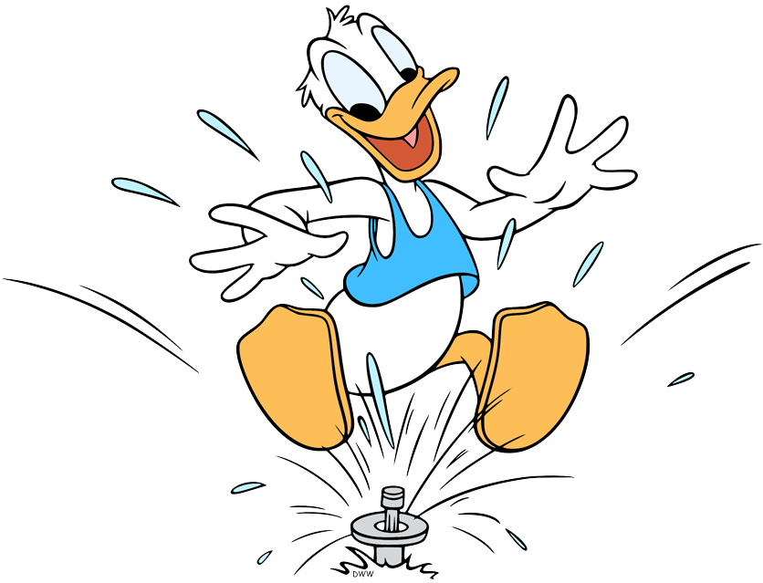 donald duck bathing suit