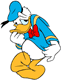 Shy Donald Duck