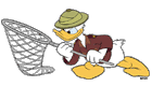 Donald Duck, net