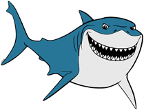 Bruce