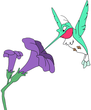 Flit, flower