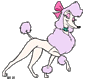 Georgette