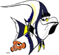 Gill, Nemo