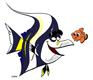 Gill, Nemo