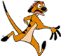 Timon