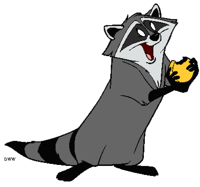 Meeko holding a cracker