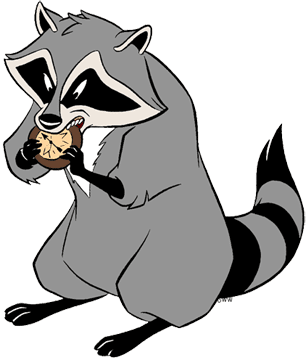 Meeko biting into a compass