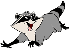 Meeko running