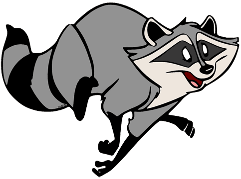 Meeko running