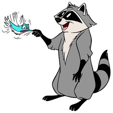 Meeko shaking Flit by the beak