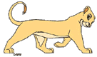 Adult Nala