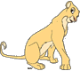 Adult Nala