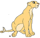Adult Nala