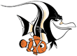 Gill, Nemo