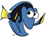 Dory