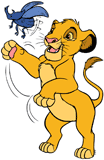 Simba standing on his hind legs to catch a flying insect