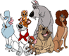 Tito, Oliver, Einstein, Dodger, Francis, Rita