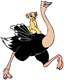Riding an ostrich