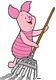 Piglet raking