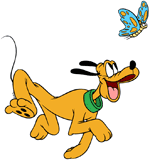 Pluto chasing a butterfly